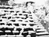 schnee_2008