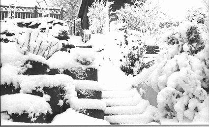 Stell Dir vor es wird Winter... Stell Dir vor es wird Winter...
